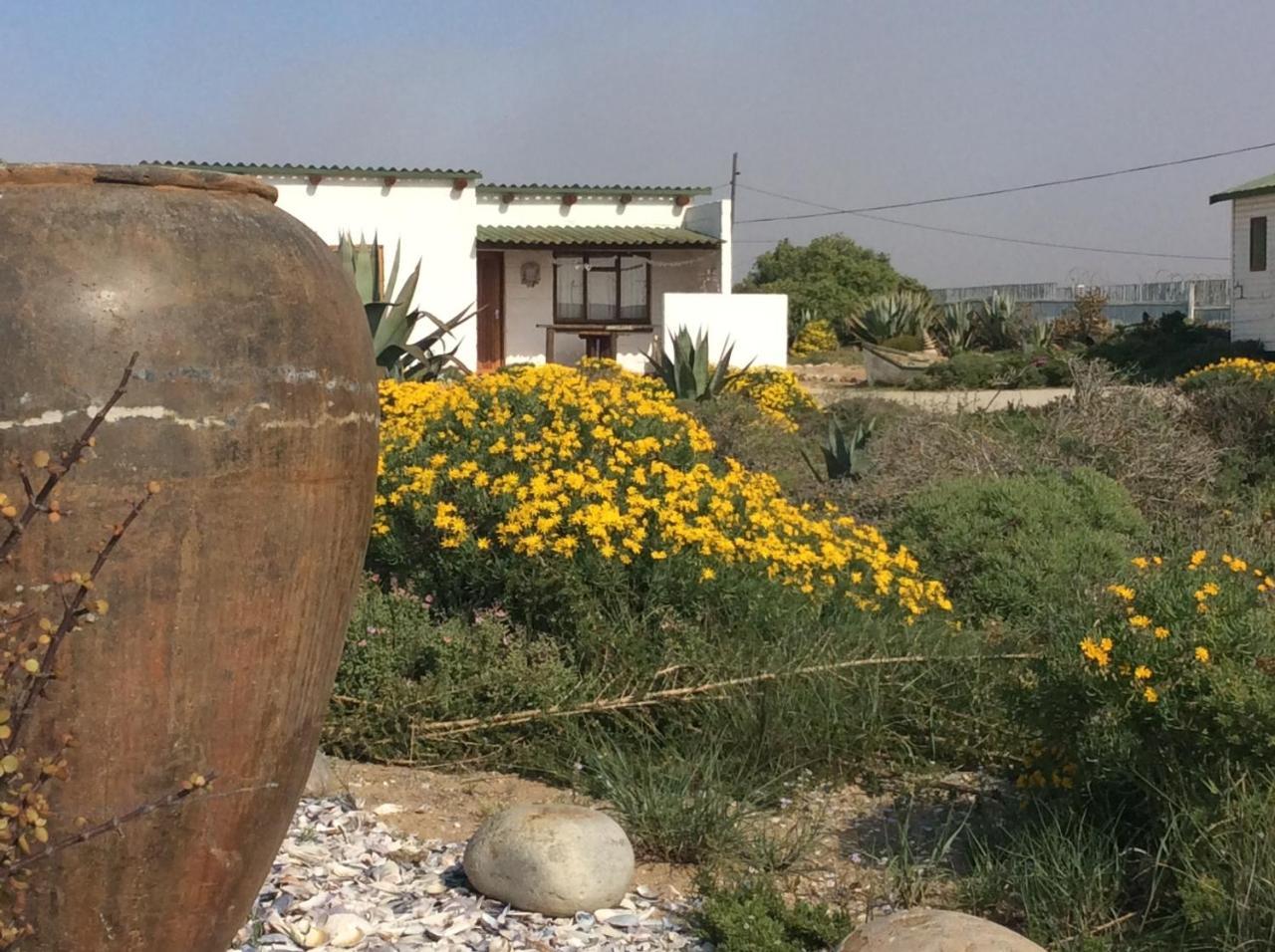 Honnehokke Resort Hondeklipbaai Εξωτερικό φωτογραφία