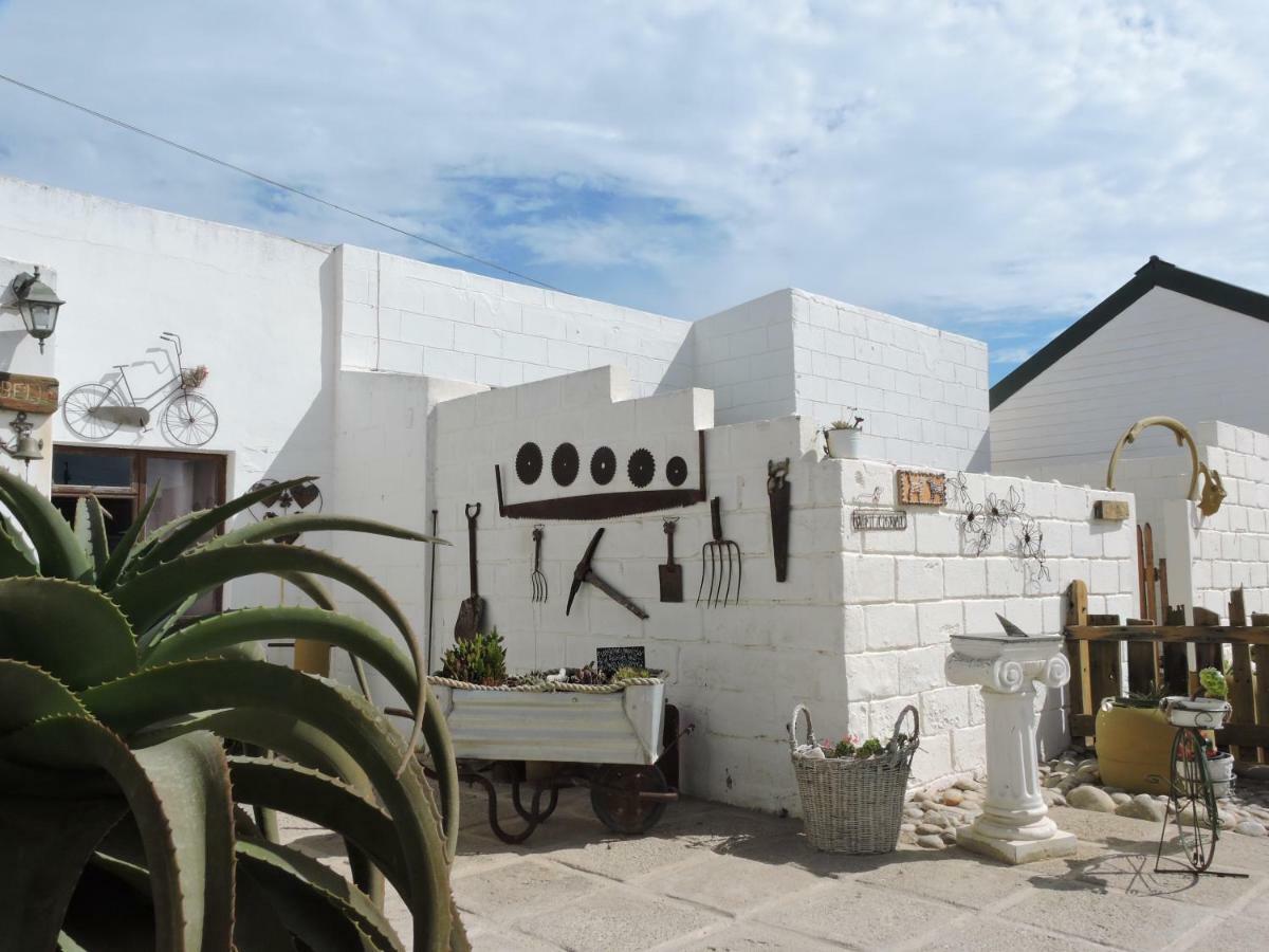 Honnehokke Resort Hondeklipbaai Εξωτερικό φωτογραφία