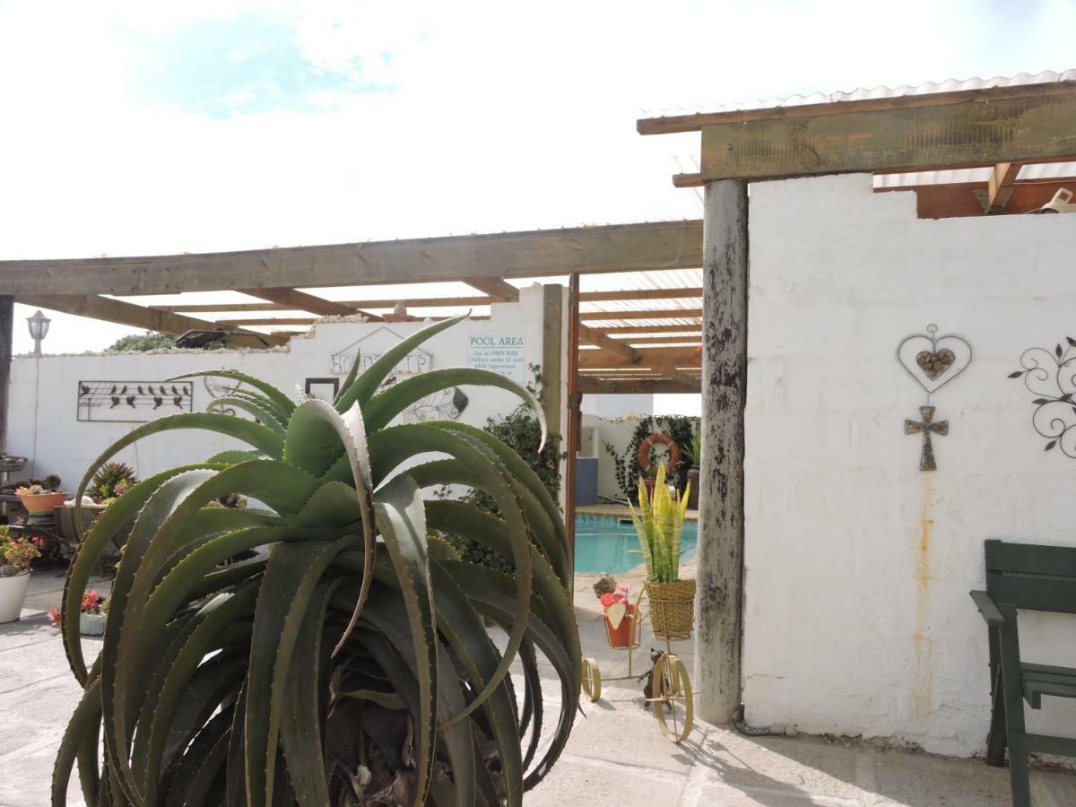 Honnehokke Resort Hondeklipbaai Εξωτερικό φωτογραφία